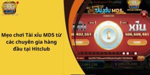 Hướng Dẫn Chơi Tài Xỉu MD5 Hitclub Nhanh Chóng và An Toàn