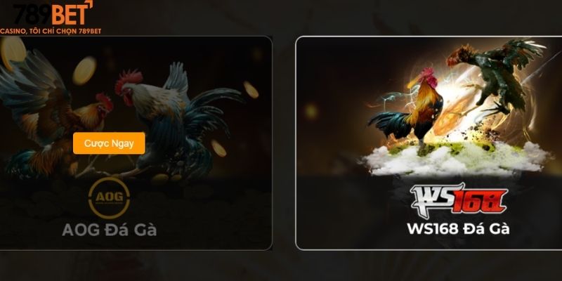 Giới thiệu sảnh đá gà 789Bet