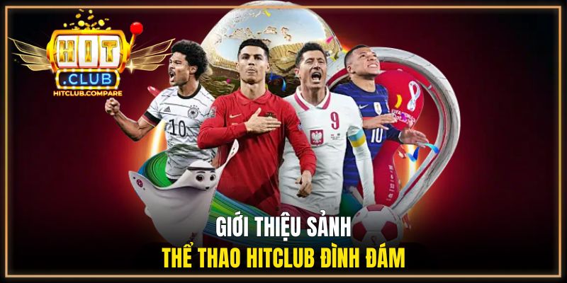 Giới thiệu sảnh thể thao HITCLUB đình đám