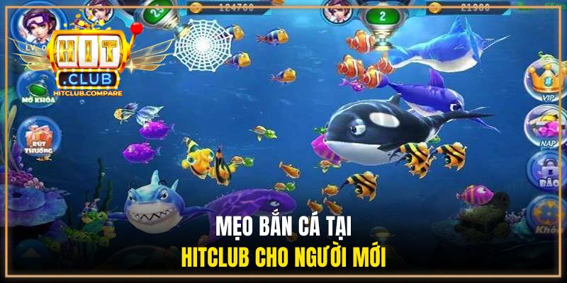 Mẹo bắn cá tại HITCLUB cho người mới