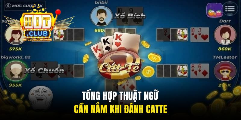 Tổng hợp thuật ngữ cần nắm khi đánh Catte